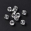 Transparent Glass Beads GLAA-F117-01E-4