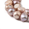 Natural Cultured Freshwater Pearl Beads Strands PEAR-P064-19L-04D-4