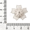 Brass Bead Caps KK-C167-03F-P-3
