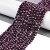 Natural Ruby Beads Strands G-P553-G01-05-1