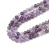 Natural Amethyst Beads Strands G-G189-D22-06-4