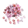 Transparent Acrylic Beads LS-TACR-P013-A06-B-1