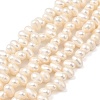 Natural Cultured Freshwater Pearl Beads Strands PEAR-I007-04C-02A-2