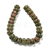 Natural Unakite Beads Strands G-G142-A09-01-3