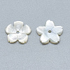 Natural White Shell Beads SSHEL-S260-009-2