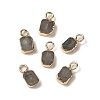 Natural Labradorite Rectangle Charms G-Q169-07G-11-1