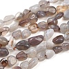 Natural Botswana Agate Nuggets Beads Strands G-B170-A01-2