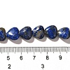 Natural Lapis Lazuli Beads Strands G-R190-10mm-54B-5