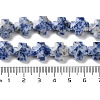 Natural Blue Spot Jasper Beads Strands G-K357-C03-01-5