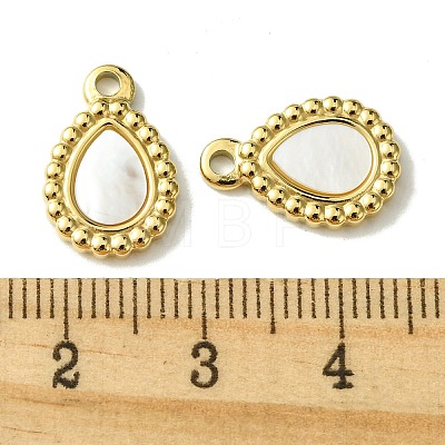 Ion Plating(IP) 304 Stainless Steel Pave Shell Teardrop Charms FIND-Z028-21G-1