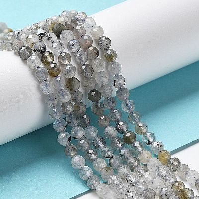 Natural Labradorite Beads Strands LS-G-I341-11-1