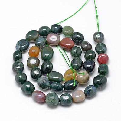 Natural Indian Agate Beads Strands G-R445-8x10-07-1