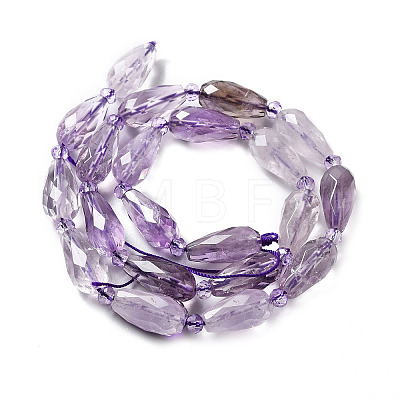 Natural Amethyst Beads Strands G-B028-A11-1