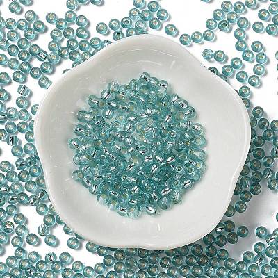 Glass Seed Beads SEED-H002-C-A049-1