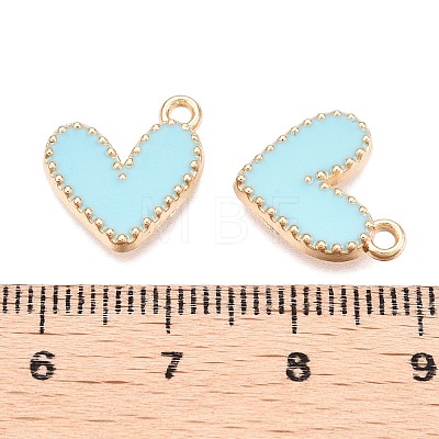 Rack Plating Alloy Enamel Charms ENAM-N056-343G-E-1