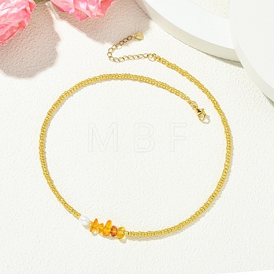 Women's Natural Amber Necklaces NJEW-JN06110-1