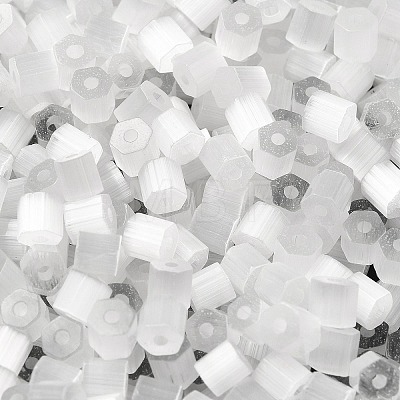Glass Seed Beads X1-SEED-H002-D-A801-1