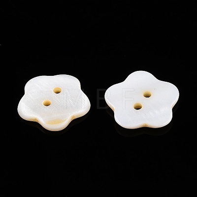 Freshwater Shell Buttons BUTT-T013-01-1