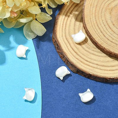 5Pcs Natural White Shell Beads BSHE-CJ0001-07-1