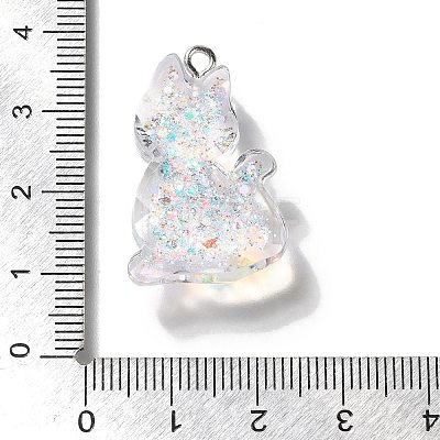 Transparent Resin Pendants RESI-Q019-01A-1