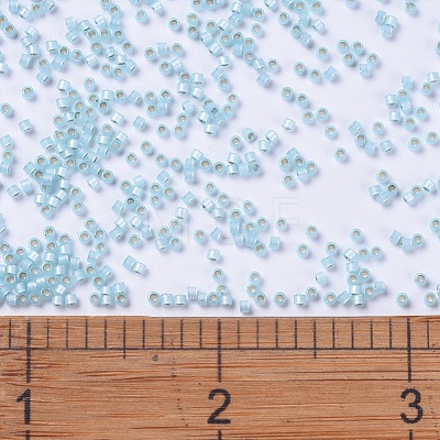 MIYUKI Delica Beads SEED-X0054-DB0628-1