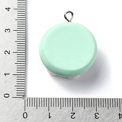 Resin Pendants RESI-I058-02C-1