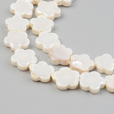 Electroplate Natural Freshwater Shell Beads Strands SHEL-T017-08-1