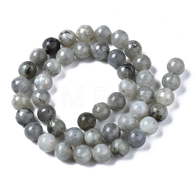 Natural Labradorite Round Beads Strands G-S158-8mm-1