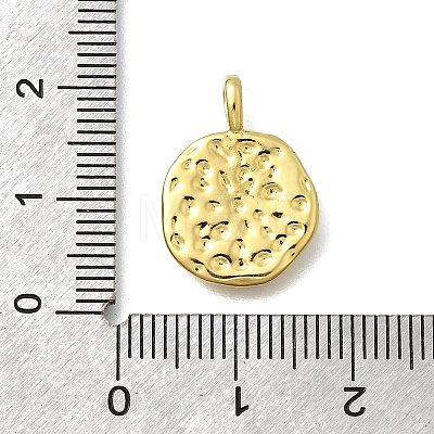 Brass with Enamel Pendants KK-D295-31G-02-1