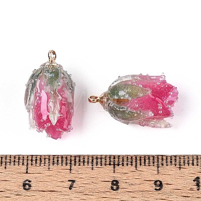 Transparent Acrylic Pendants SACR-T017-53C-1