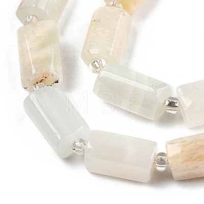 Natural White Moonstone Beads Strands G-N327-06C-1