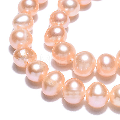 Natural Cultured Freshwater Pearl Beads Strands PEAR-N013-05J-1
