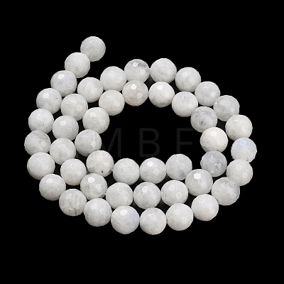 Natural Rainbow Moonstone Beads Strands G-C280-B15-8mm-1