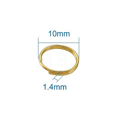 Iron Split Rings IFIN-TA0001-05G-1