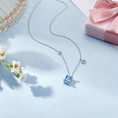 925 Sterling Silver Zircon Pendant Necklace 12 Constellation Pendant Necklace Jewelry Anniversary Birthday Gifts for Women Men JN1088F-1