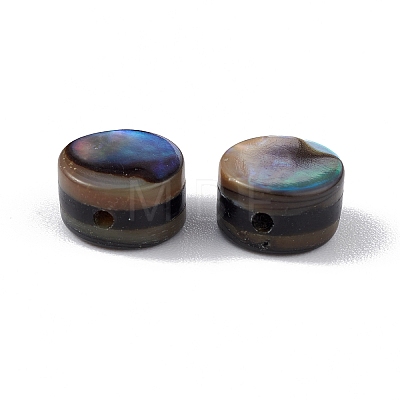 Natural Abalone Shell/Paua Shell Beads SSHEL-M021-02-1