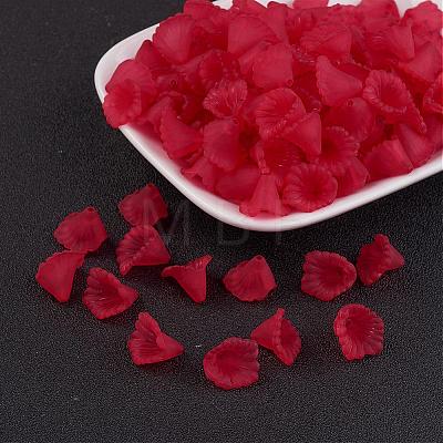 Transparent Acrylic Beads PL622-C14-1