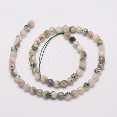 Natural Tree Agate Bead Strands X-G-G882-6mm-E02-1