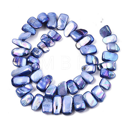 Natural Freshwater Shell Beads Strands X-SHEL-N026-123G-1