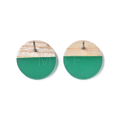 Transparent Resin & Wood Stud Earrings EJEW-N017-003A-D02-1