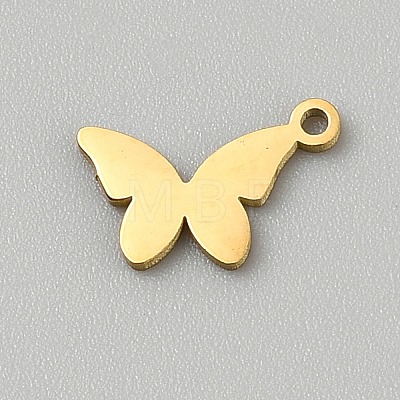 Stainless Steel Charms STAS-WH20001-17G-1