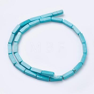 Natural Magnesite Beads Strands TURQ-K003-13-1