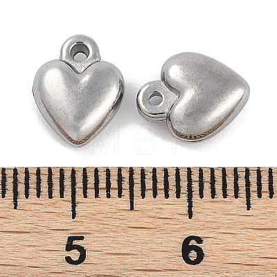 304 Stainless Steel Charms STAS-R135-01P-02-1