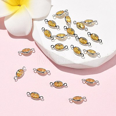 SHEGRACE Brass Pave Cubic Zirconia Oval Connector Charms XGRQ2O407-439C-P-1