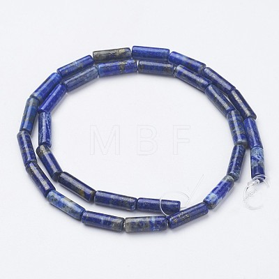 Natural Lapis Lazuli Beads Strands G-G968-F04-1