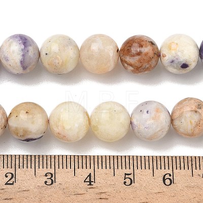 Natural Purple Opal Beads Strands G-L642-B21-10mm-1