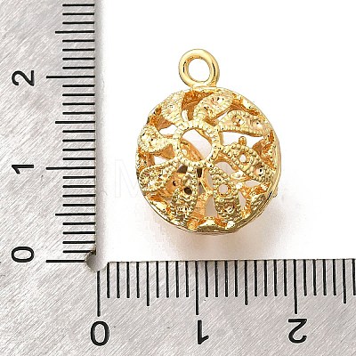 Brass Pendants KK-E792-26G-1