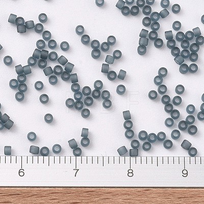 MIYUKI Delica Beads X-SEED-J020-DB0387-1
