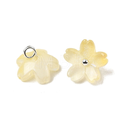 Glass Charms GLAA-G127-05D-1