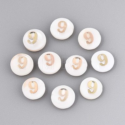 Natural Freshwater Shell Beads SHEL-N003-20-09-1